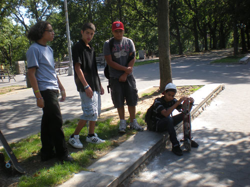 web-skateboarders