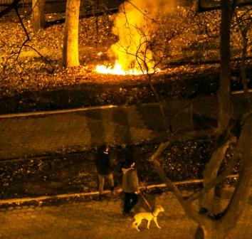 (Sidebar) More Fires Spotted at Oval (Picture)