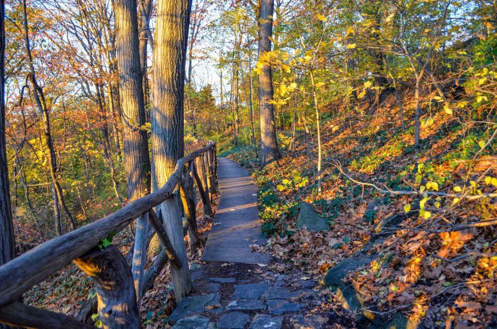 TAKE A WALK along the grounds of Wave Hill each Saturday and Tuesday for free. Photo courtesy Joshua Bright