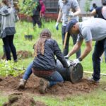 Greener Days in Hopes of Healthy Lifestyles at DeWitt Clinton HS
