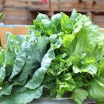 New Organics Rules for Food Establishments Takes Effect in August