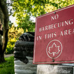 Bronx Parks Brace for BBQ Season