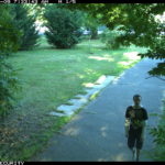 Boy, 14, Charged With Attempted Rape at Bronx Park