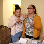 Bronx Connections: The Health Impact