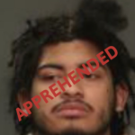 19-Year-Old Charged In February Fordham Killing