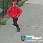 Nighttime Shooting Near Devoe Park, Suspect Sought