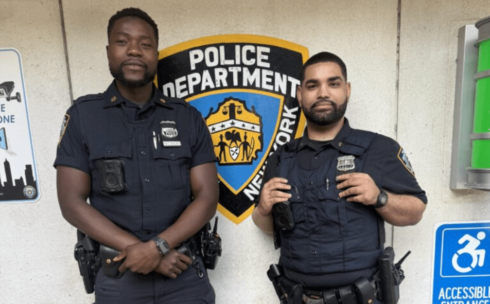 Belmont: Man Arrested for Animal Cruelty after Allegedly Abusing ...