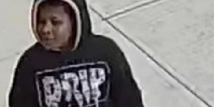 Fordham Manor: Four Sought for Armed Assault on Older Man