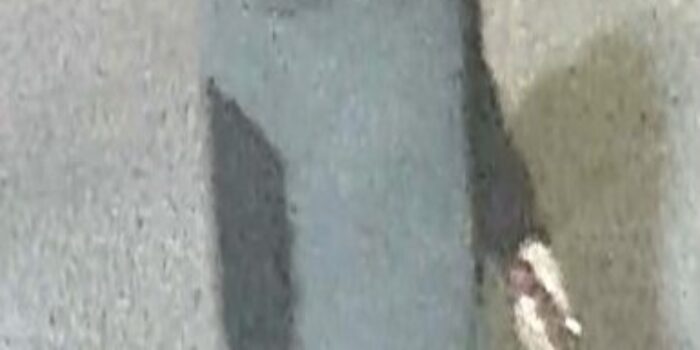 Kingsbridge: Man Sought for Robbing Woman