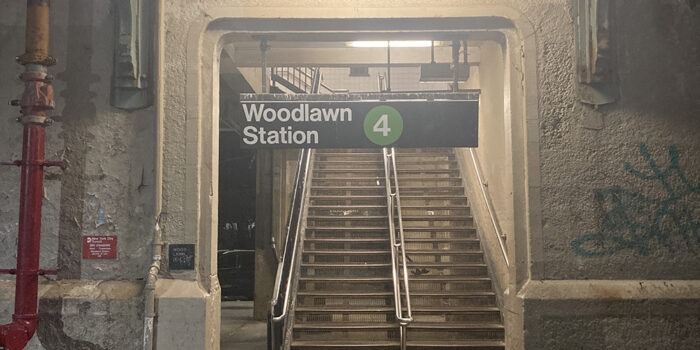 Norwood: Man Reportedly Seen with Snake at Woodlawn Subway Station