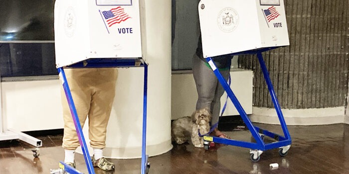 Primaries 2026: Unofficial Results See Torres, Jackson, Dinowitz & More on Track to Keep their Seats