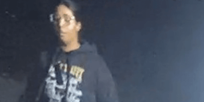 Bedford Park: Four Sought in Gang Assault